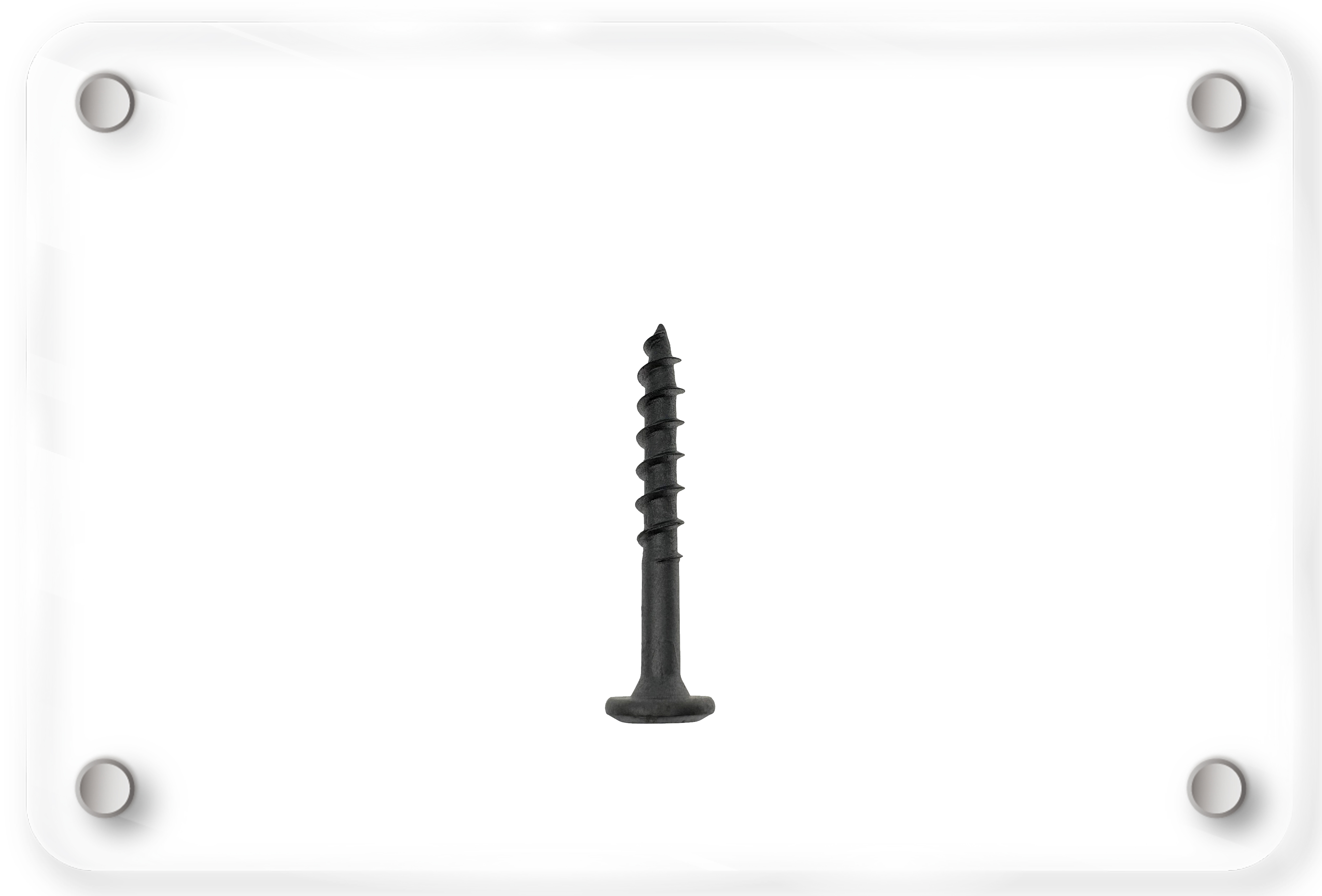 LSQ005_Wood screws